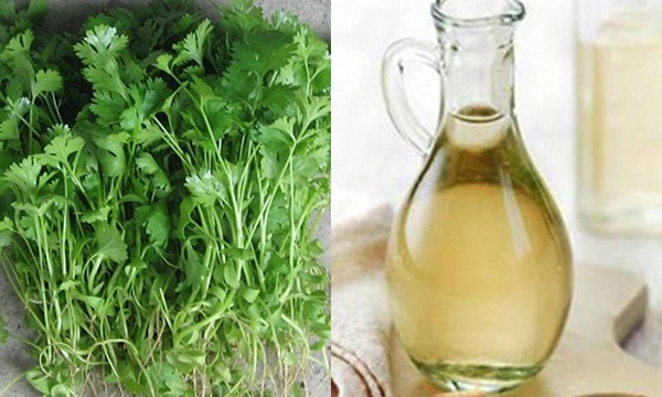 Công dụng chữa nám tàn nhang của rau mùi
